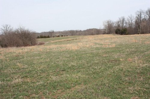 Property photo 9 - ABSOLUTE AUCTION - 298 Acres Offered in 4 Tracts